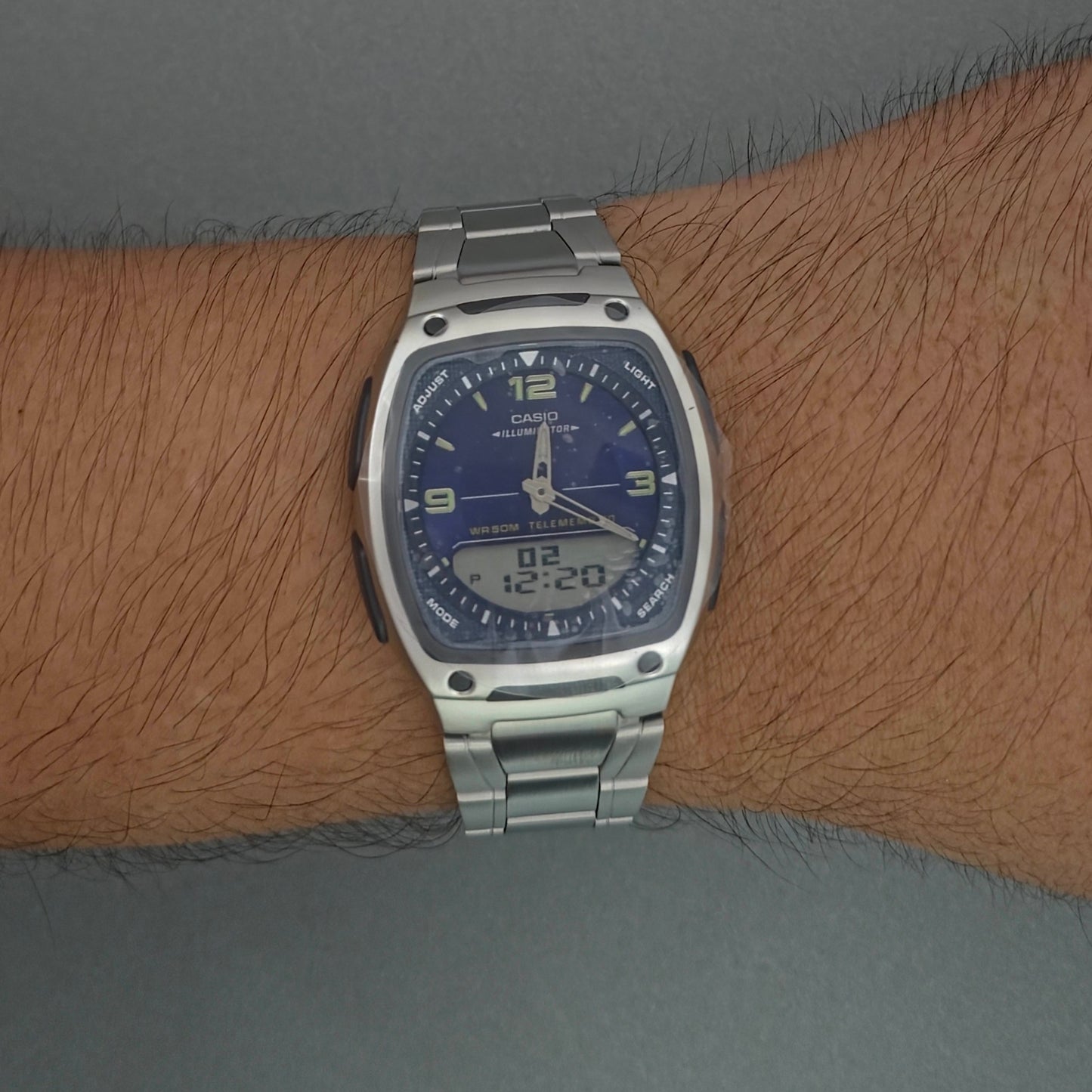 Reloj Casio AW81D-2AV Acero Telememo 30