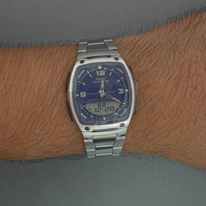 Reloj Casio AW81D-2AV Acero Telememo 30