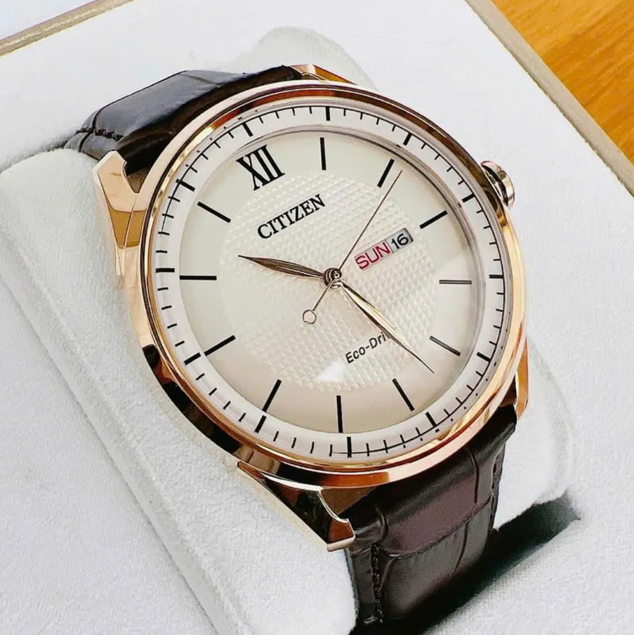 Reloj CITIZEN Eco-Drive Classic Brown (AW0082-01A)