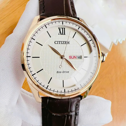 Reloj CITIZEN Eco-Drive Classic Brown (AW0082-01A)