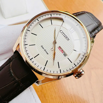 Reloj CITIZEN Eco-Drive Classic Brown (AW0082-01A)